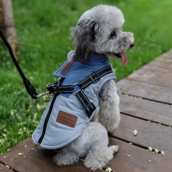Winter Pet Dog Jacket With Harness