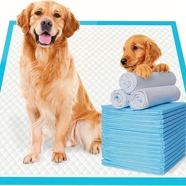 Pee Pads | Various Sizes Of Premium Disposable Dog Training Pads | Super Absorbency