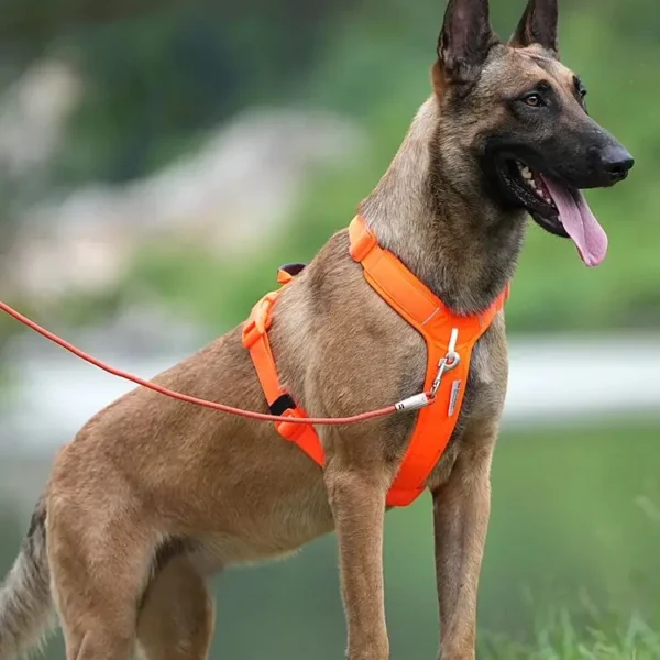 Pet Harness No Pull Reflective Dog Harness for Small Medium Large Dog Vest Adjustable.