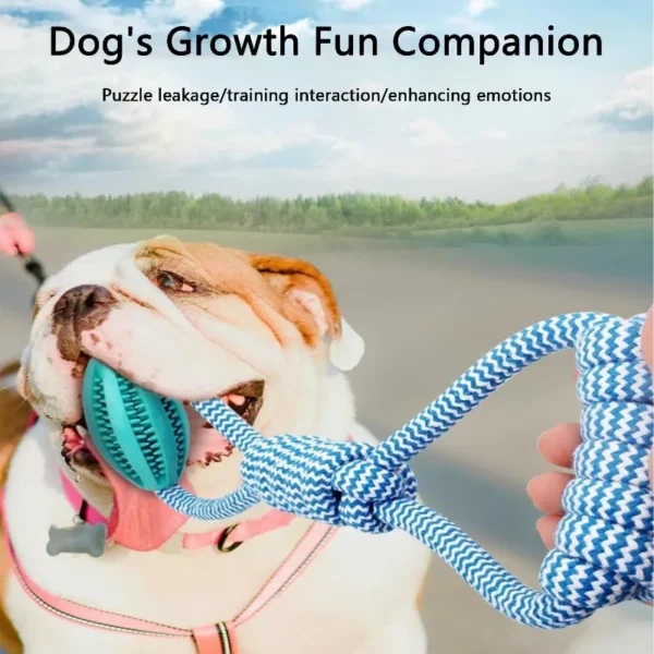 Interactive Dog Treat Ball 18x13cm, Chew Resistant Rope
