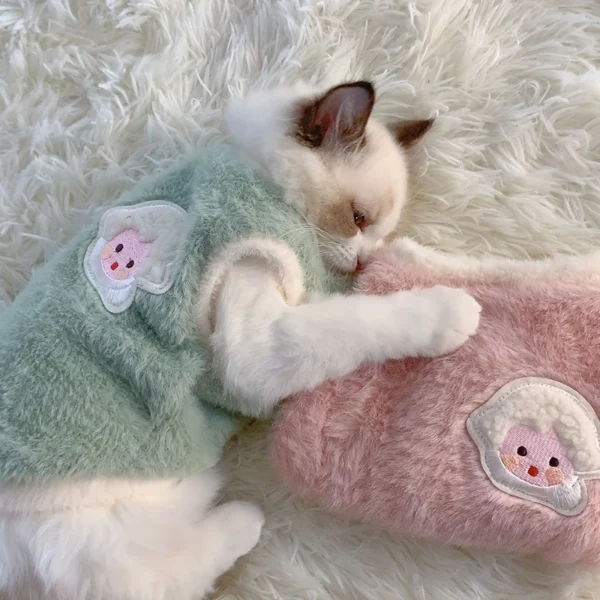 Warm Kittens Clothes for Winter