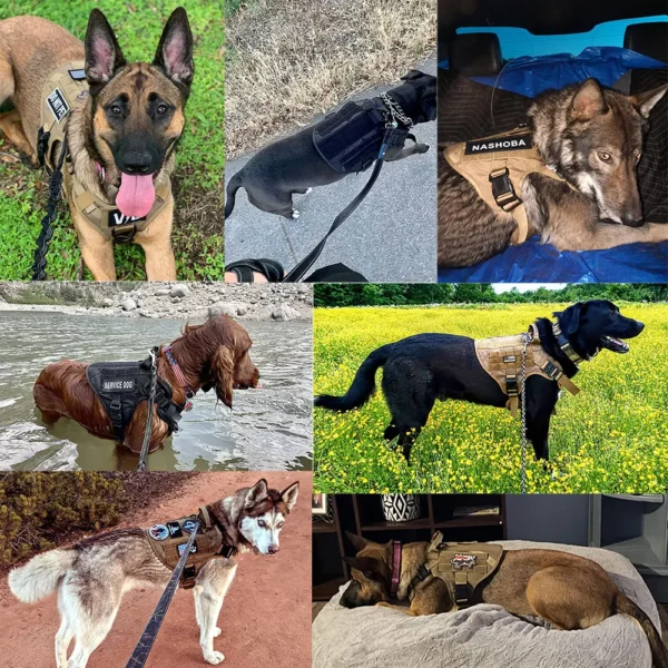 Large Dog Harness And Leash Set Pet German Shepherd Malinois Training Walking Vest.